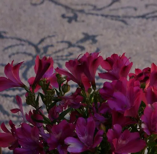 酒店 艾利普酒店 4*